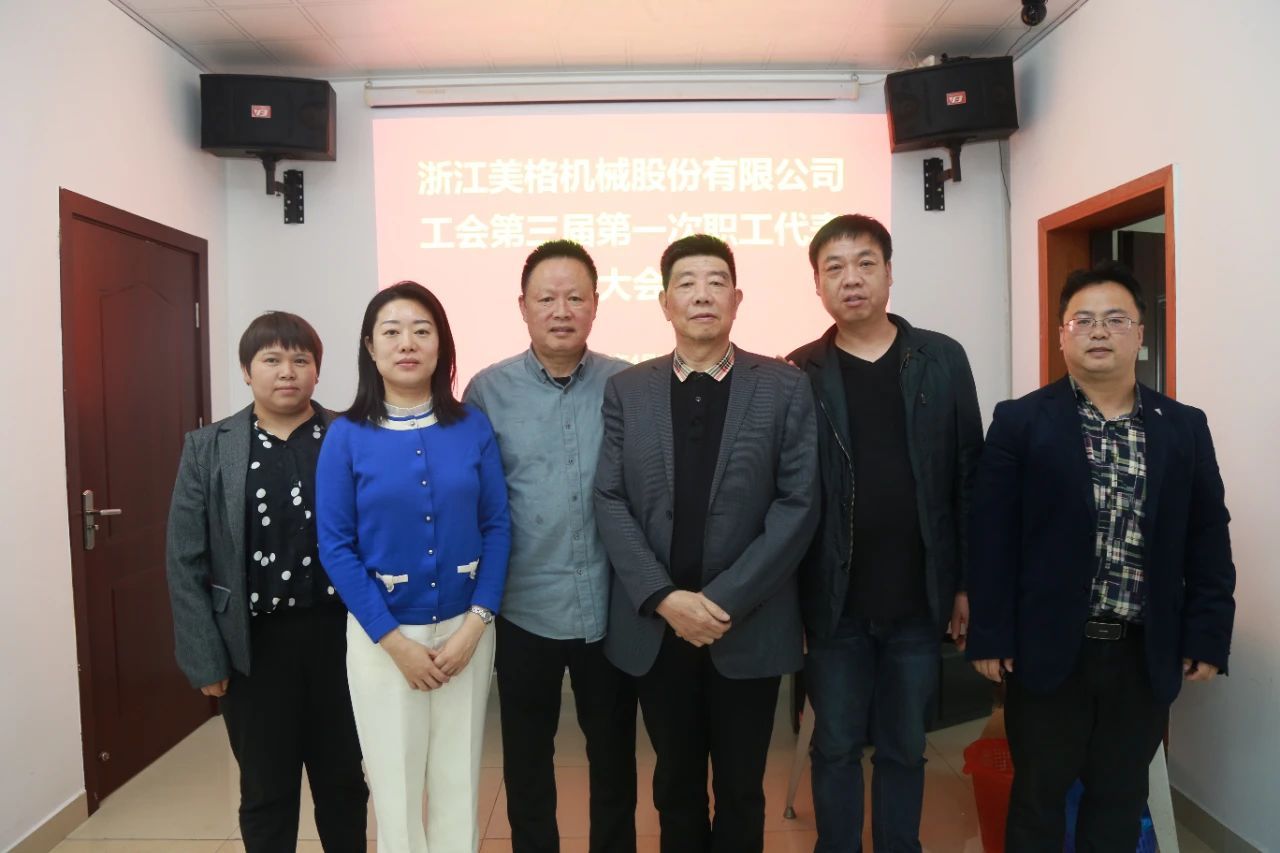 Zhejiang Meige Innealra Co, Teo.